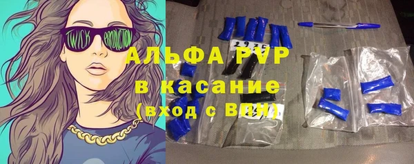 сатива Абинск